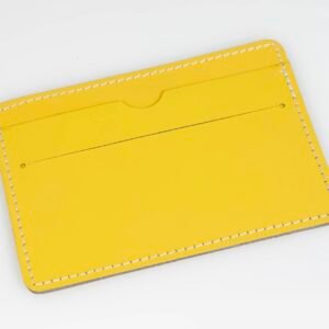 Credit cards case