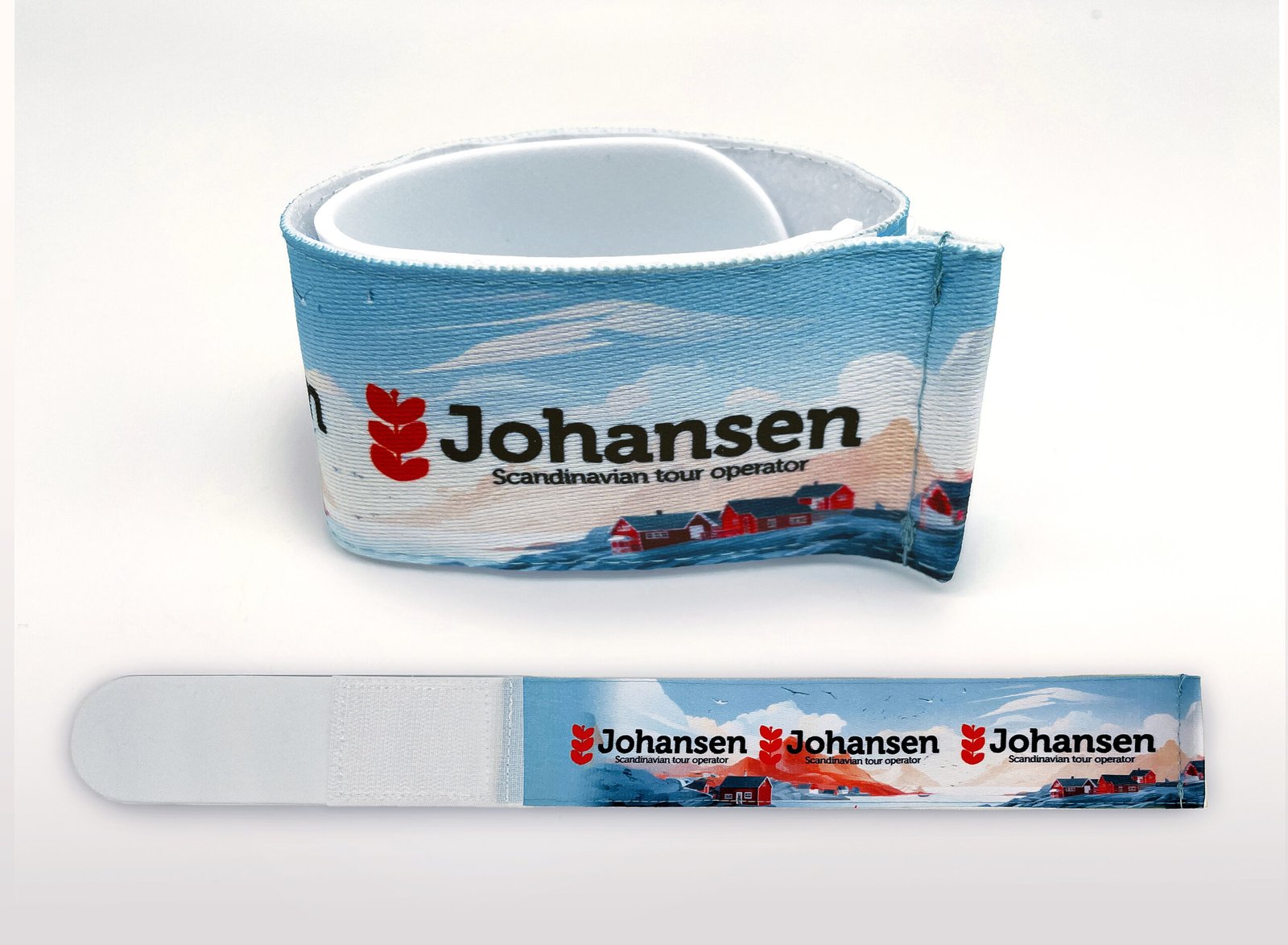 Ski straps - Image 2